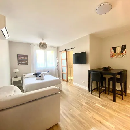 Apartment L'occitan - Studio Climatise Avec Parking *